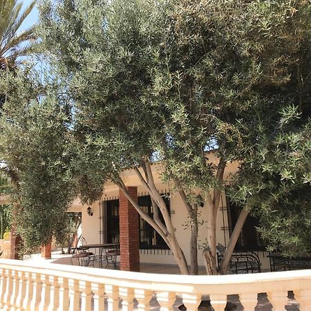 Tiguimi Vacances - Oasis Villas, Cadre Naturel Et Vue Montagne Agadir Eksteriør billede