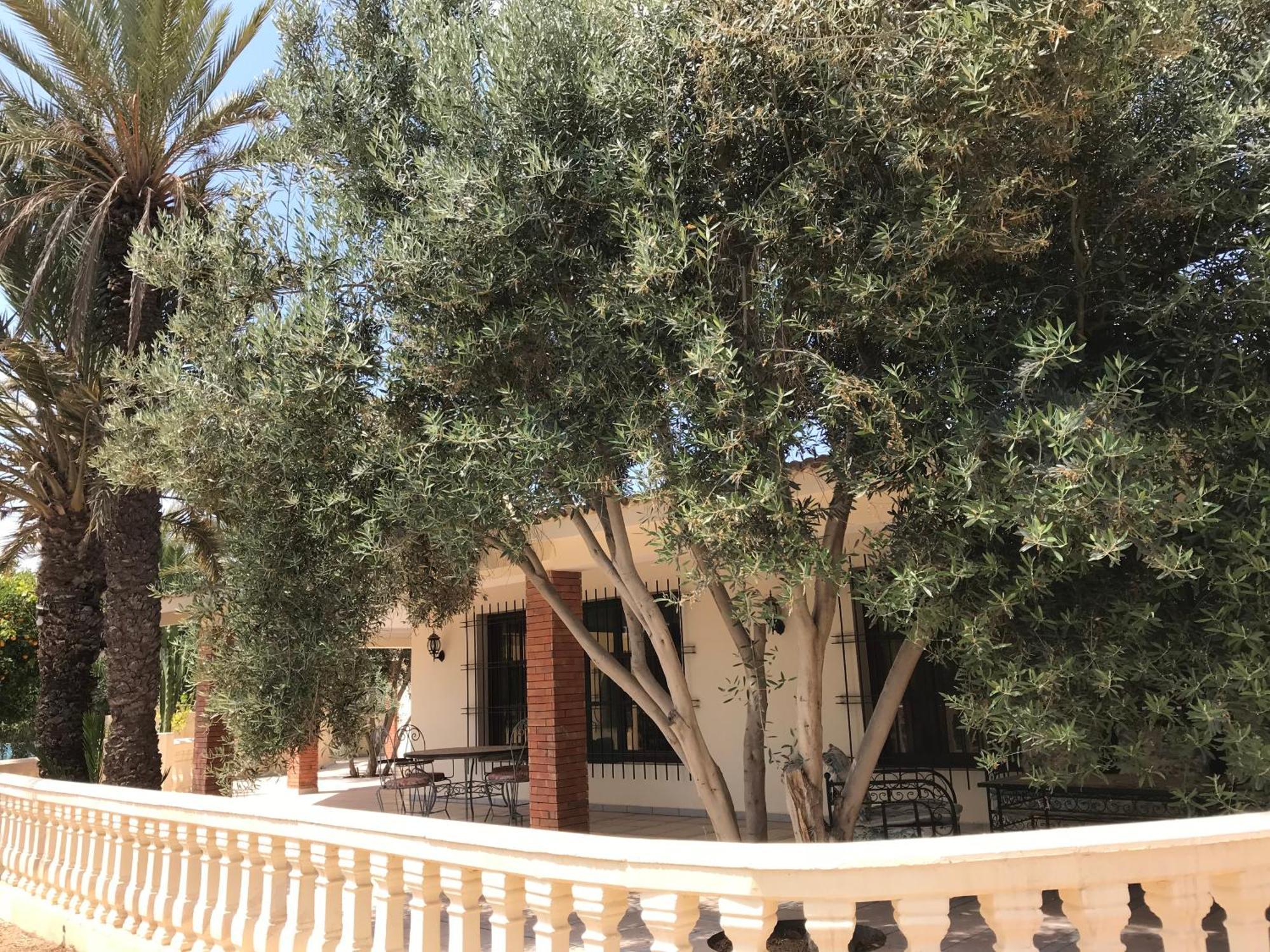 Tiguimi Vacances - Oasis Villas, Cadre Naturel Et Vue Montagne Agadir Eksteriør billede