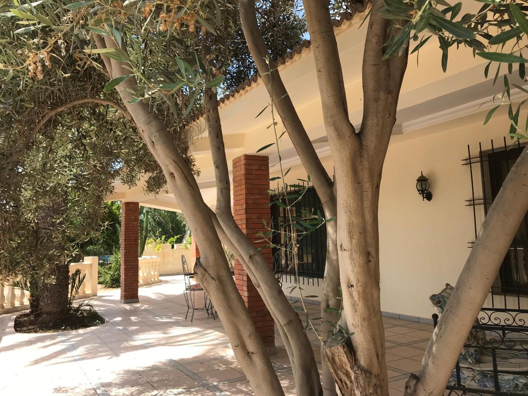 Tiguimi Vacances - Oasis Villas, Cadre Naturel Et Vue Montagne Agadir Eksteriør billede