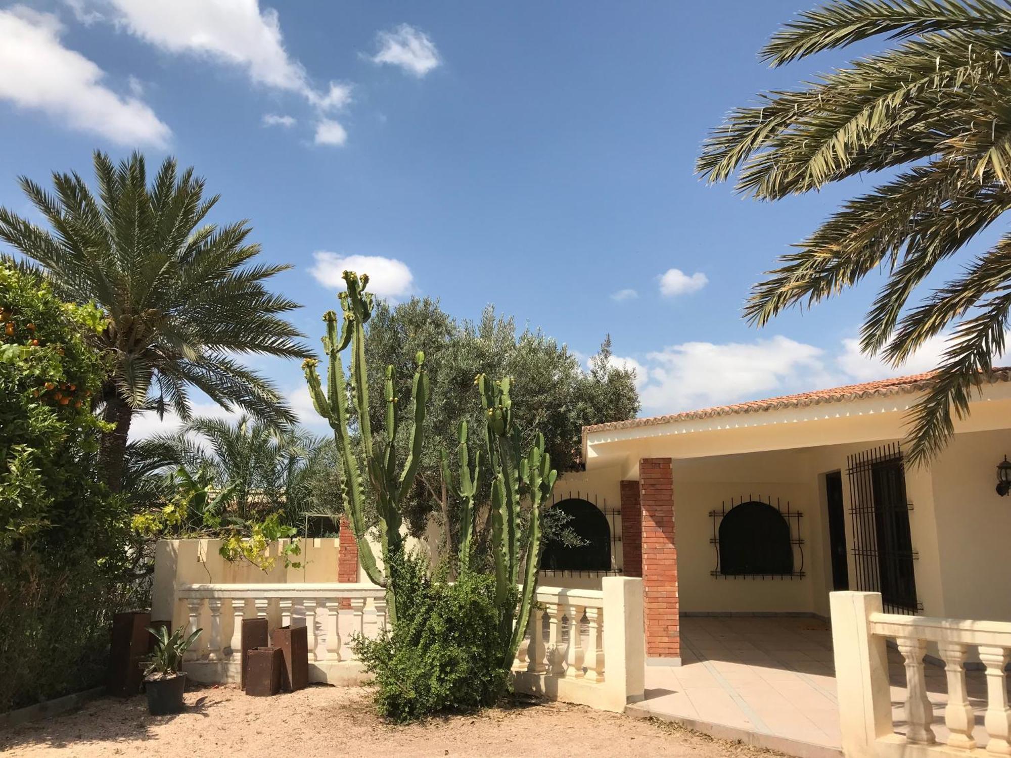 Tiguimi Vacances - Oasis Villas, Cadre Naturel Et Vue Montagne Agadir Eksteriør billede