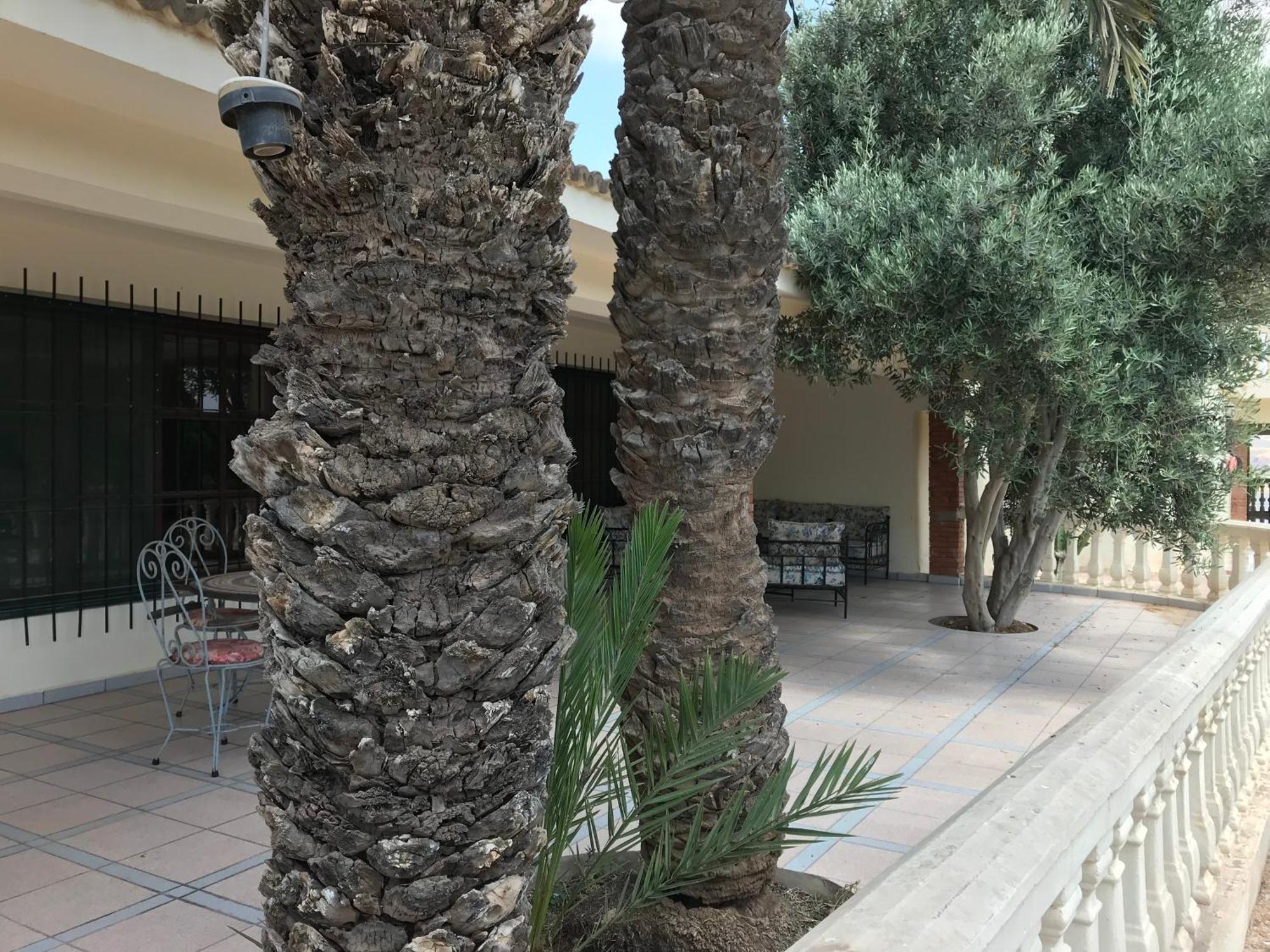 Tiguimi Vacances - Oasis Villas, Cadre Naturel Et Vue Montagne Agadir Eksteriør billede