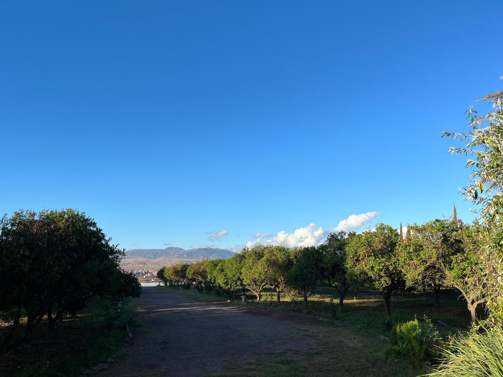 Tiguimi Vacances - Oasis Villas, Cadre Naturel Et Vue Montagne Agadir Eksteriør billede