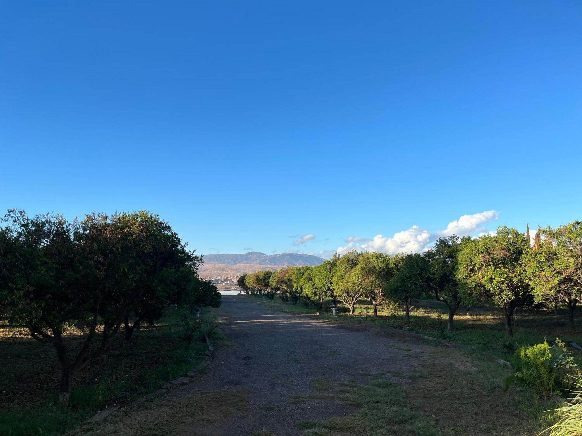 Tiguimi Vacances - Oasis Villas, Cadre Naturel Et Vue Montagne Agadir Eksteriør billede