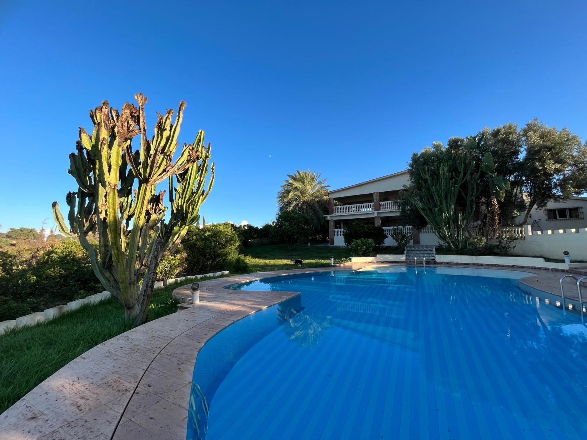 Tiguimi Vacances - Oasis Villas, Cadre Naturel Et Vue Montagne Agadir Eksteriør billede