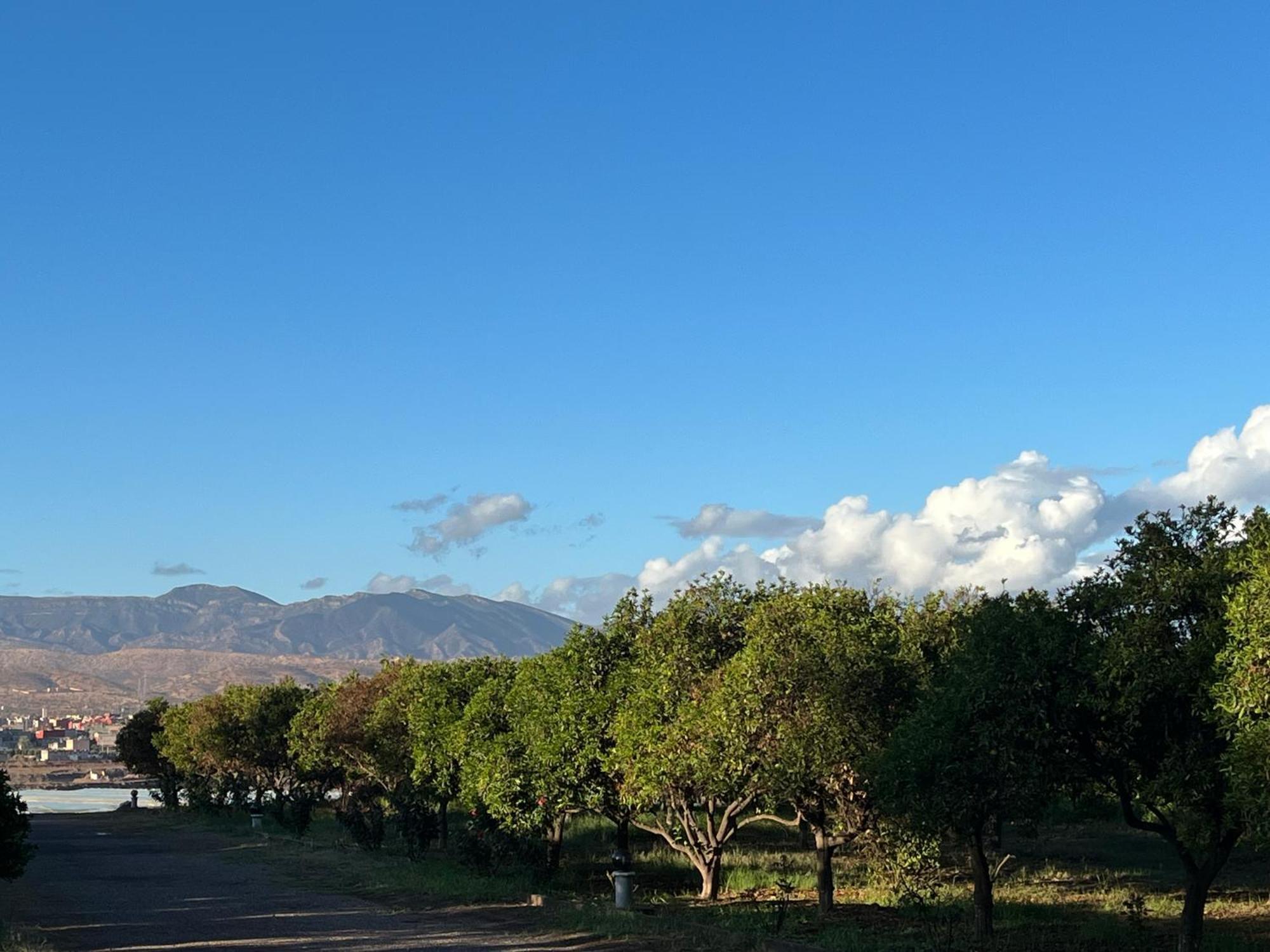 Tiguimi Vacances - Oasis Villas, Cadre Naturel Et Vue Montagne Agadir Eksteriør billede