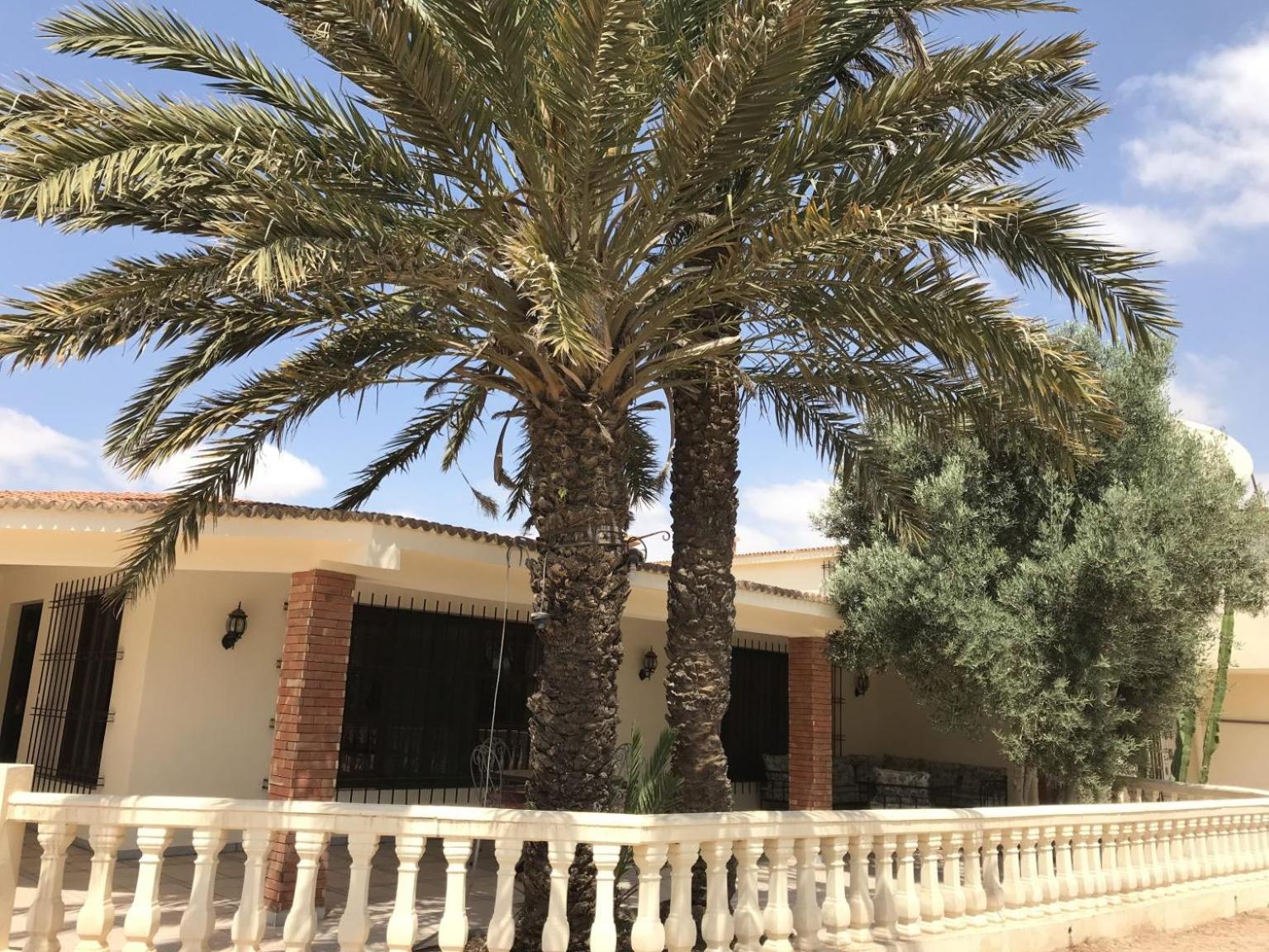Tiguimi Vacances - Oasis Villas, Cadre Naturel Et Vue Montagne Agadir Eksteriør billede